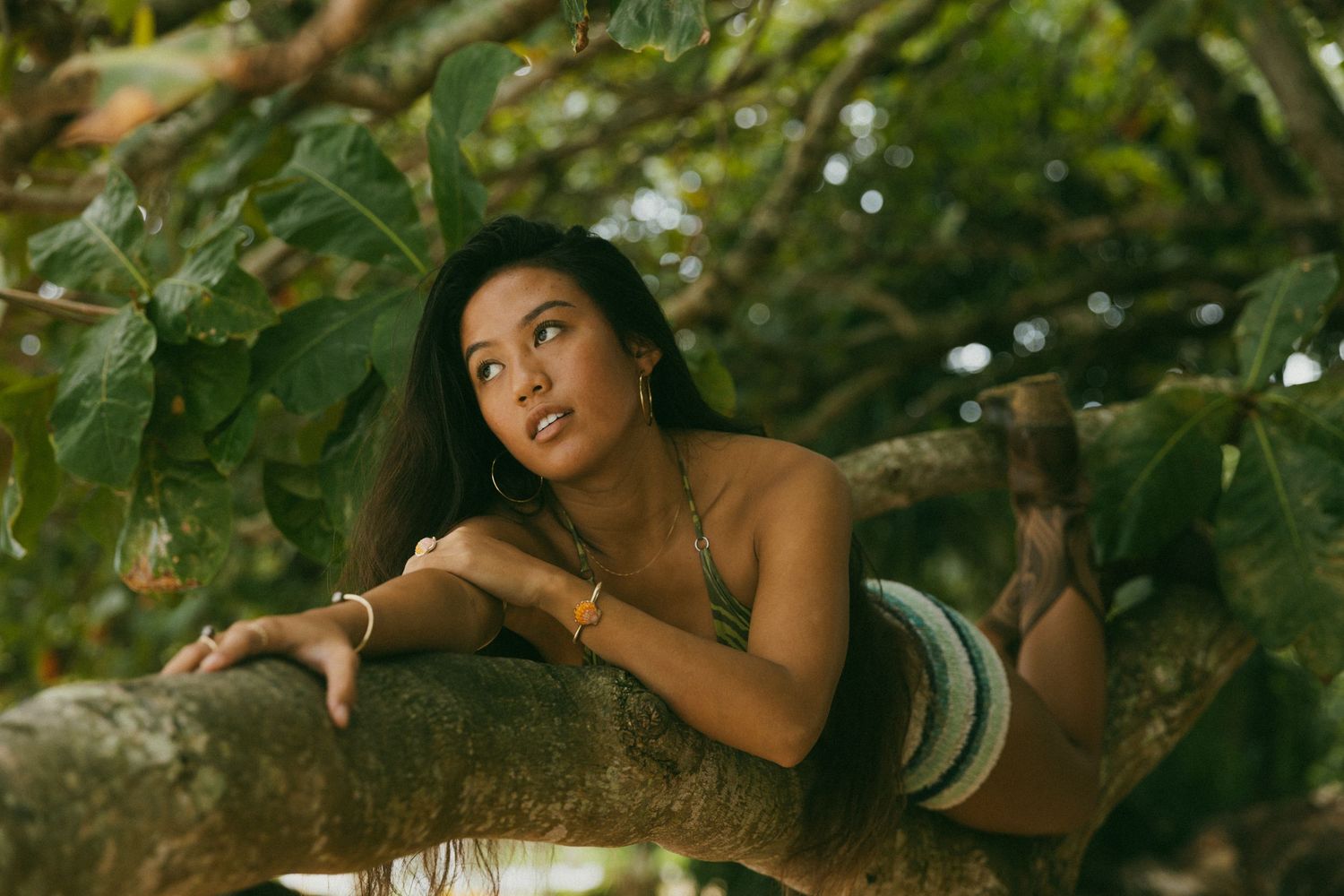 Young woman in striped bikini top resting on a tropical tree branch surrounded by lush green leaves.