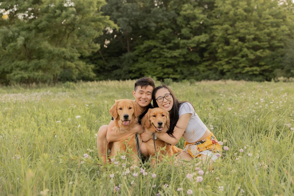 Two Golden Retriever dogs sit with their owners in a sunny meadow filled with wildflowers in beverly hills Birmingham Michigan in the summer