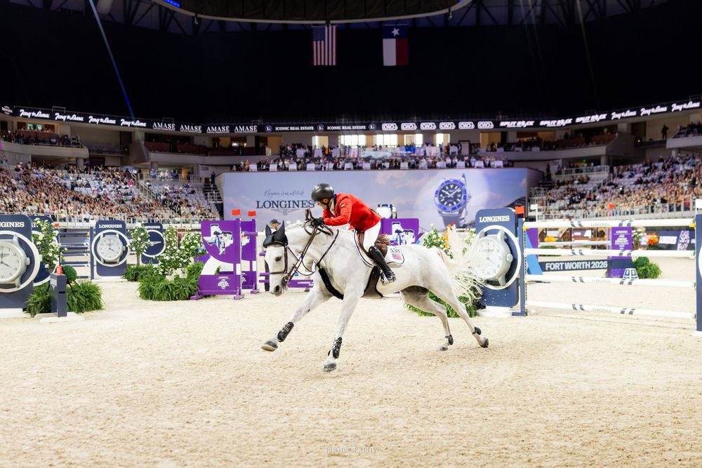 Equestrian show jumping competition in an indoor arena with a rider on a white horse mid-jump before a large crowd.