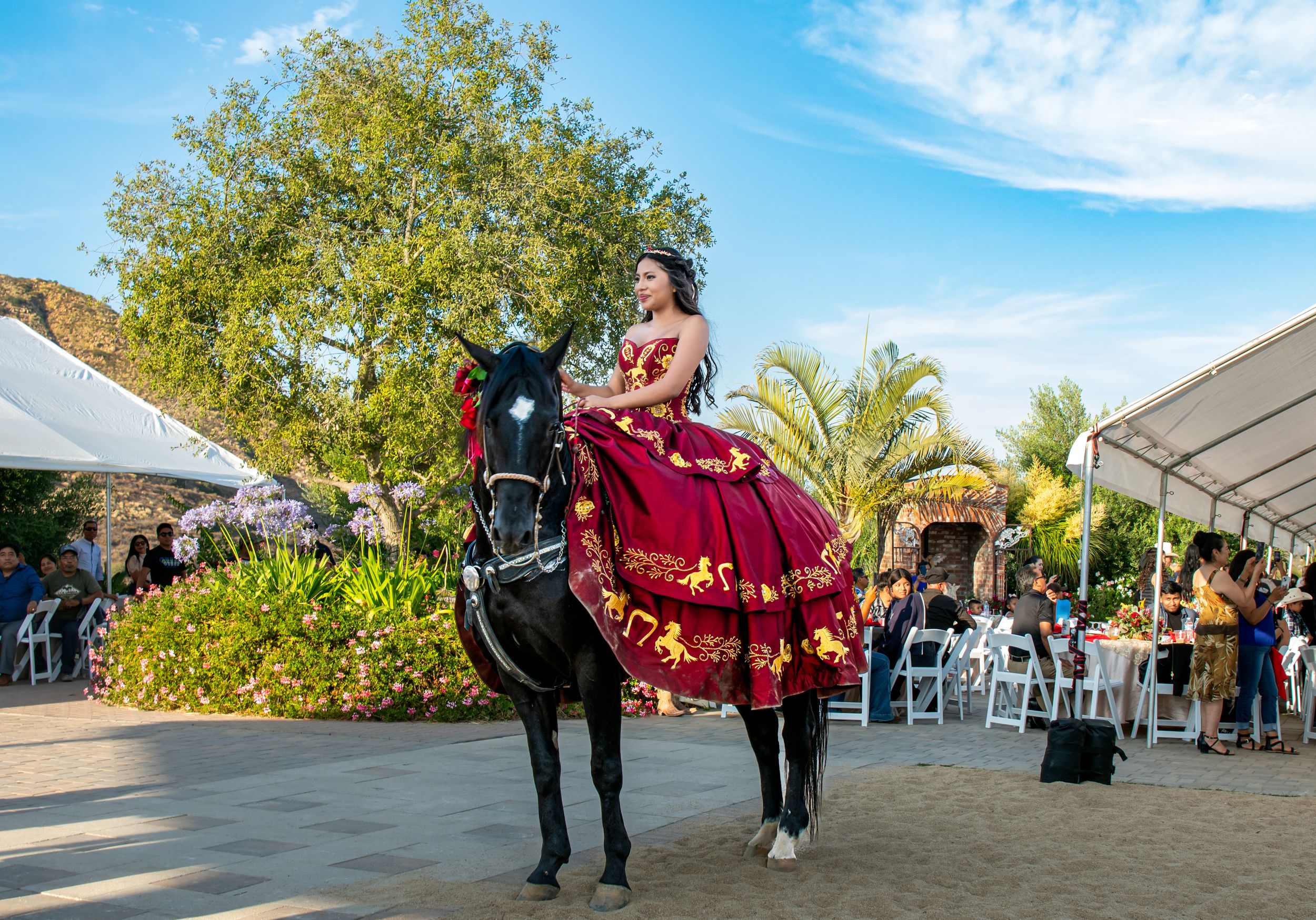 Outdoor celebration with guests gathered under blue sky and palm trees.