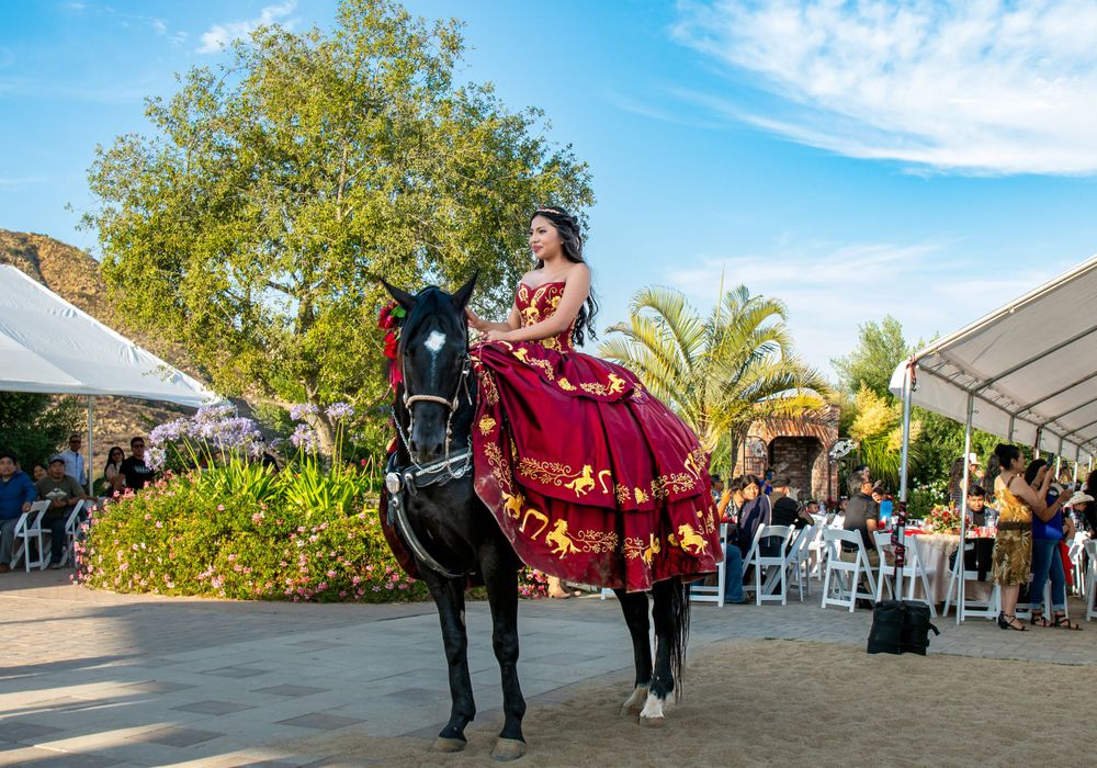 Outdoor celebration with guests gathered under blue sky and palm trees.