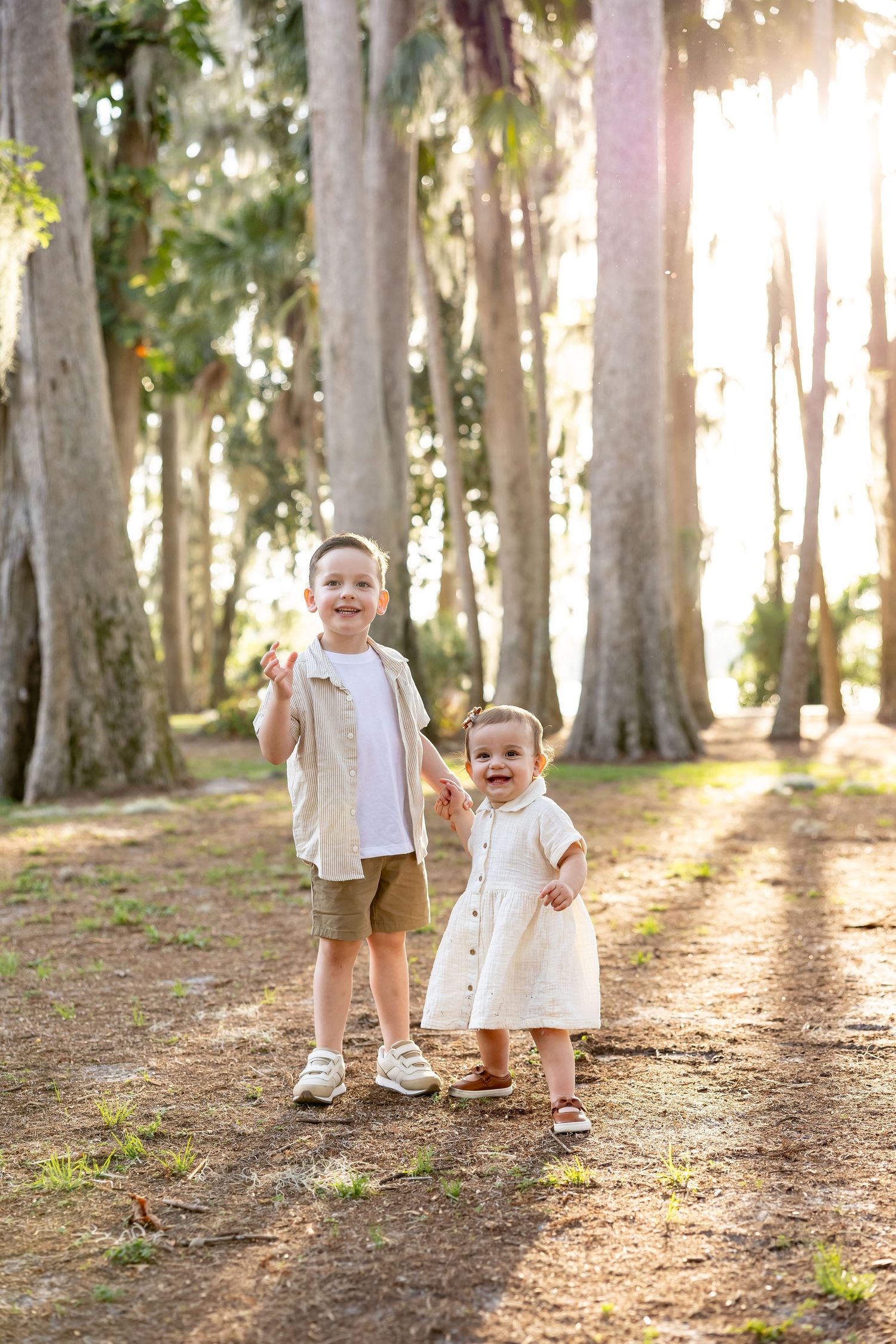 Children walking together through a sunlit forest path with tall trees creating dappled light.