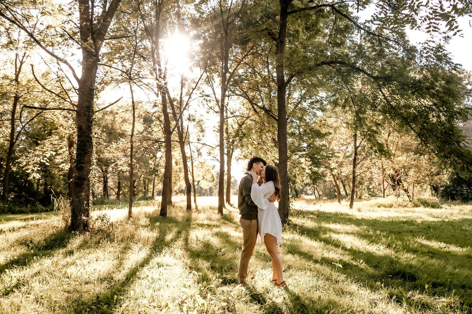 Sun-drenched forest scene with golden light streaming through trees creating long shadows.