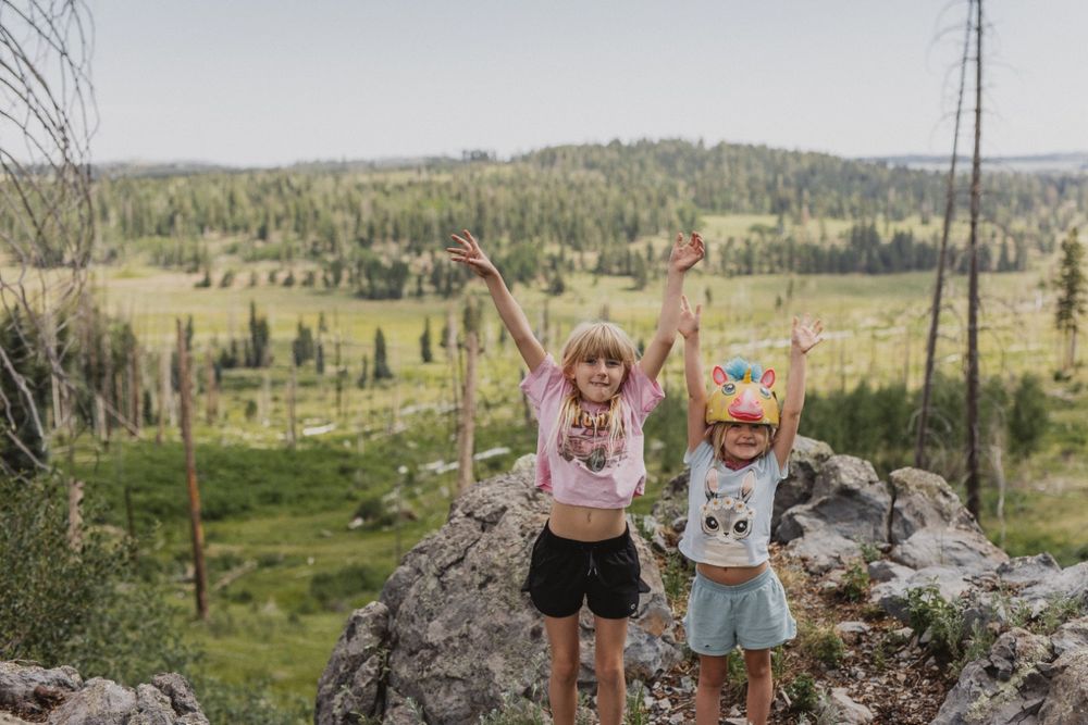 Two young girls stand on a rocky overlook with arms raised, celebrating amid a lush green forest landscape.