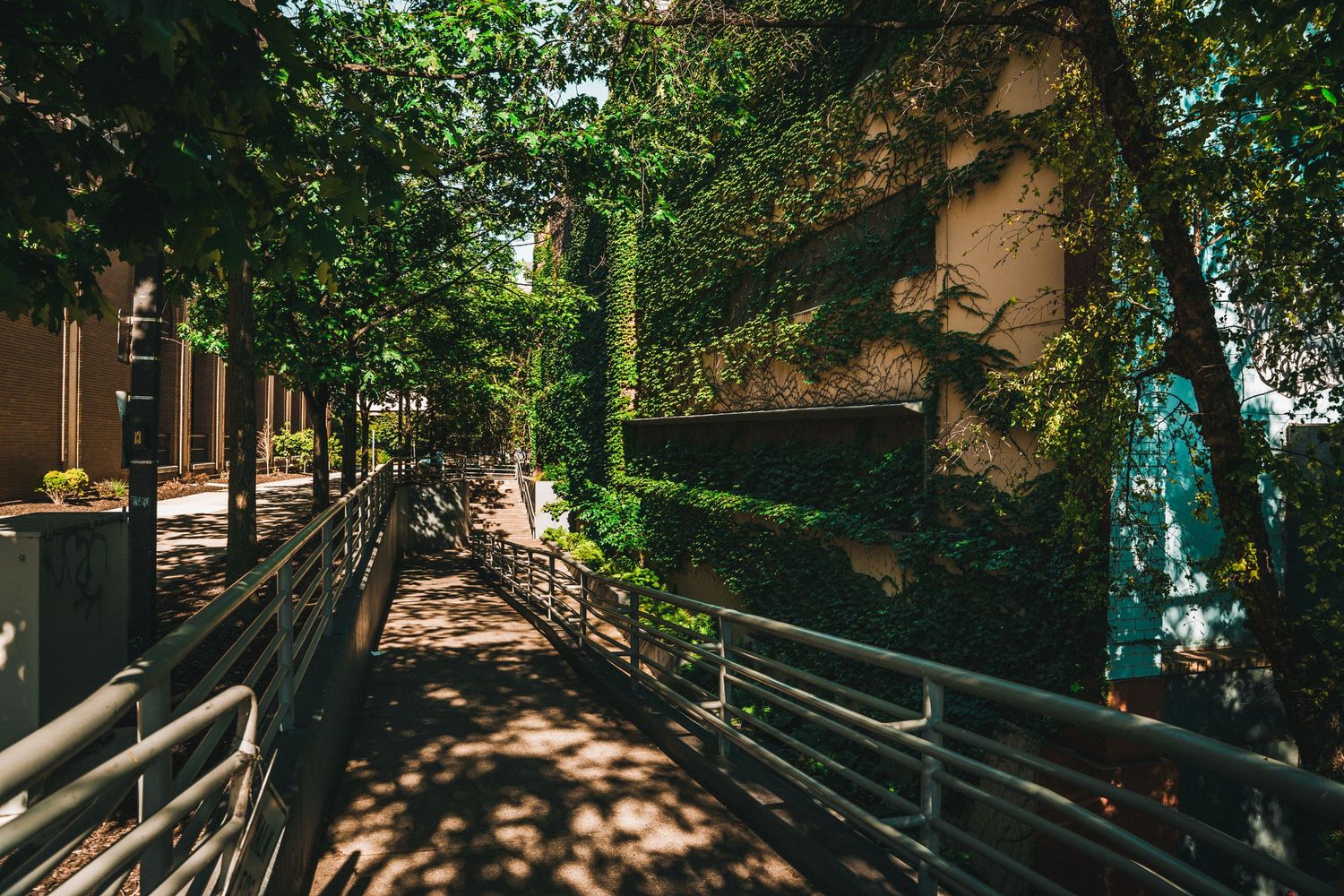 Lush green tree-covered walkway with ivy-draped walls along shaded urban pathway.