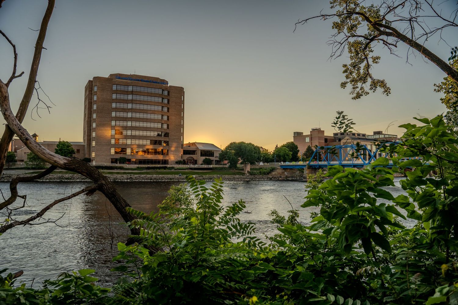 City skyline with river and bridge at dusk framed by green foliage.