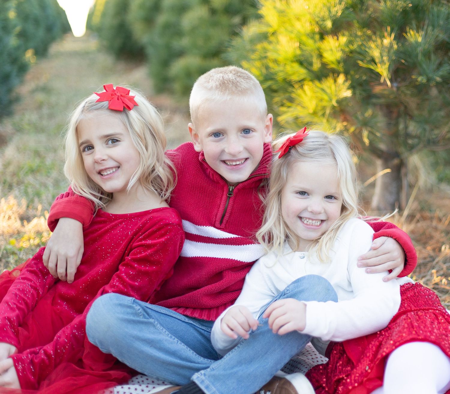 christmas tree farm family photography belleville illinois