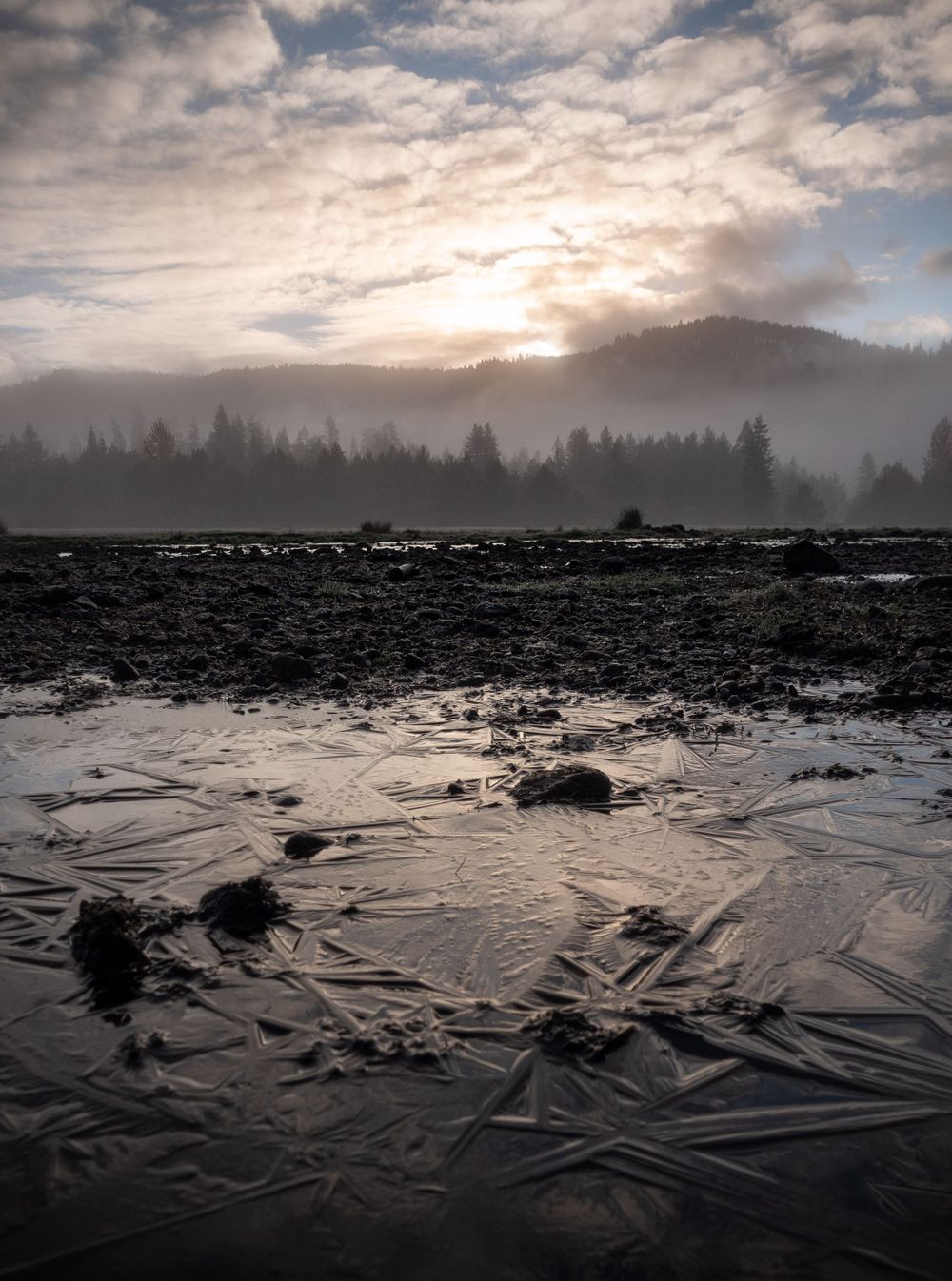 Misty sunrise over a rocky shoreline with mountains and forest silhouetted in the background.