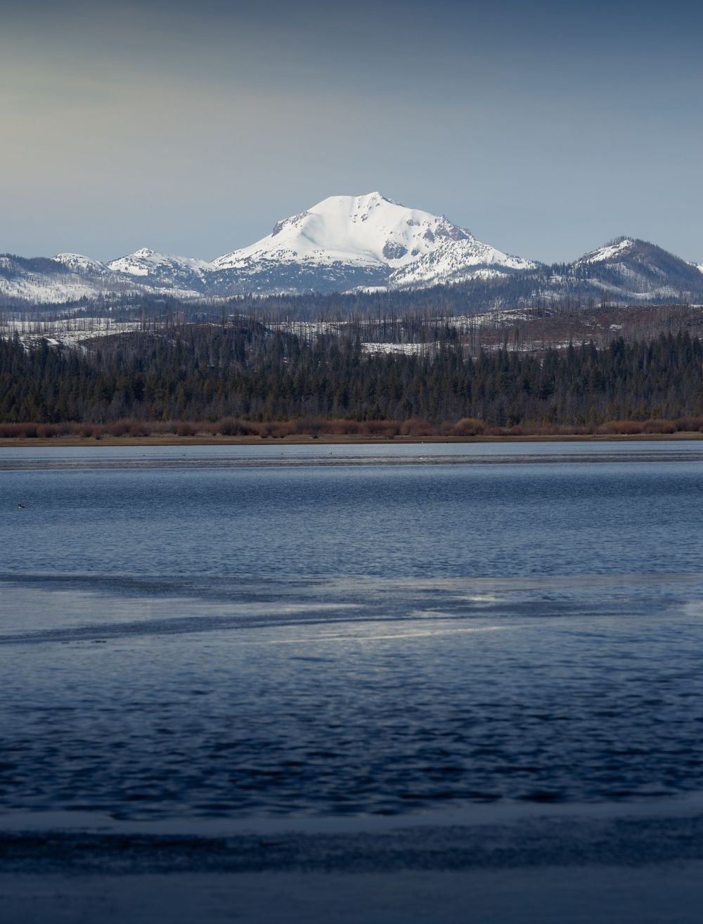Snow-capped mountain peak rises above evergreen forest and calm lake waters in a serene winter landscape.