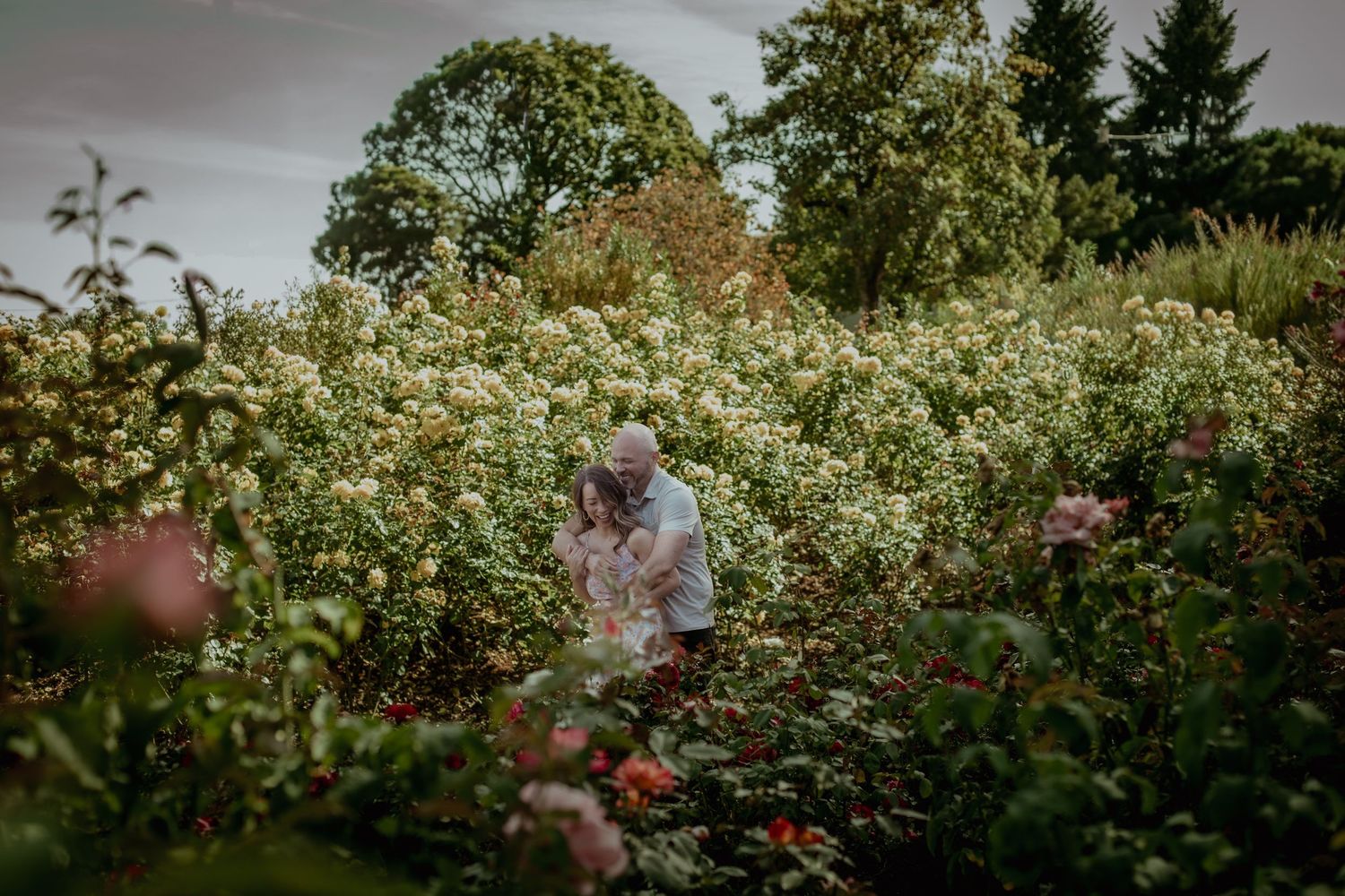 People picking apples in a lush orchard during harvest season at a farm.