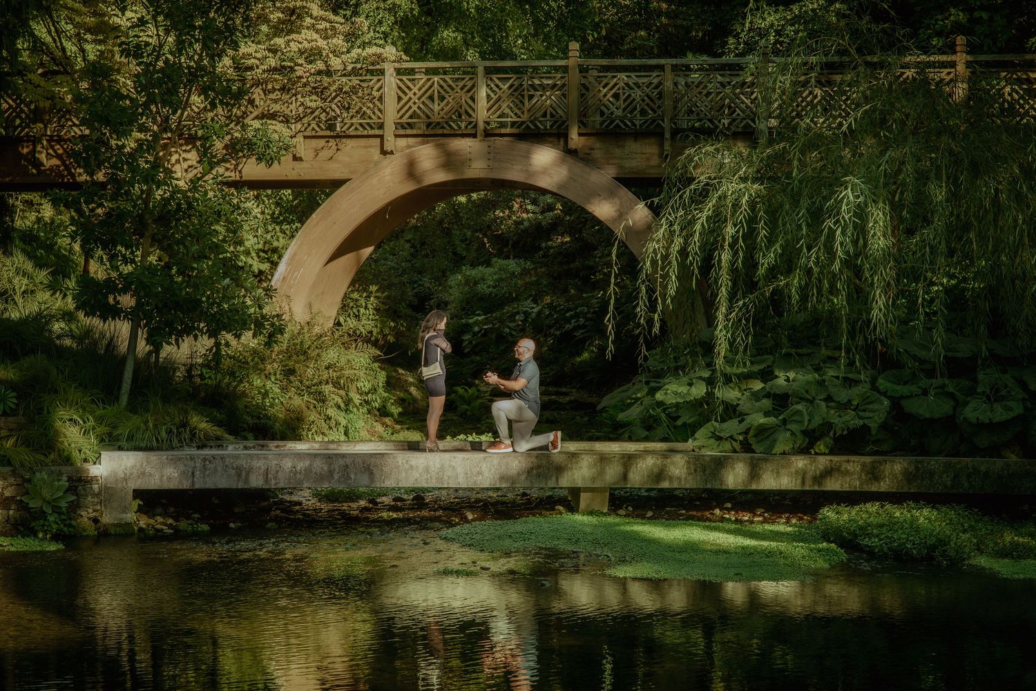 A serene stone bridge spans over a tranquil pond surrounded by lush green foliage in a peaceful garden setting.