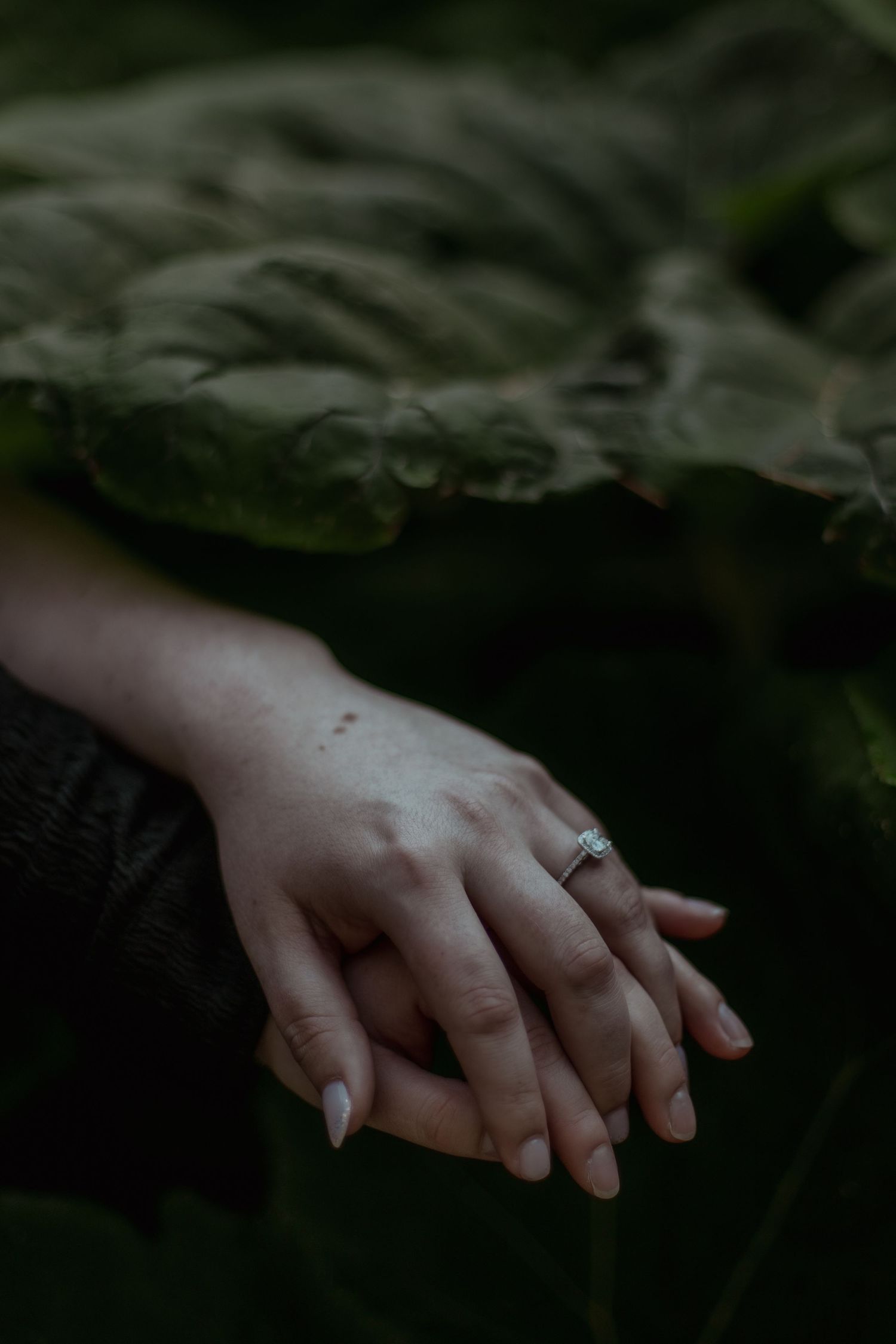 A person's hand wearing a silver wedding ring is shown against a dark, blurred natural background.