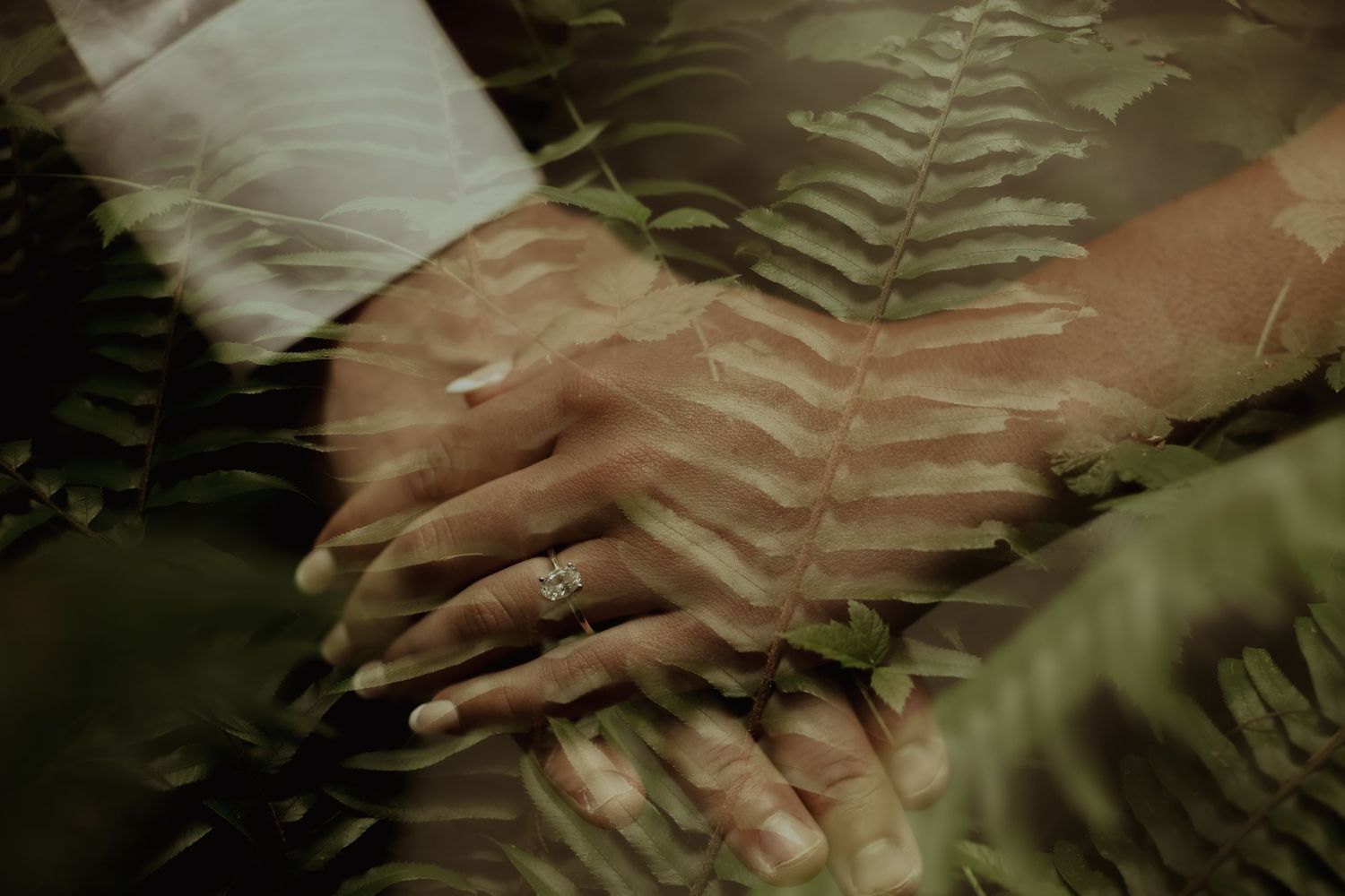 Close-up shot of hands gently touching fern leaves in dappled sunlight creating a peaceful natural composition.