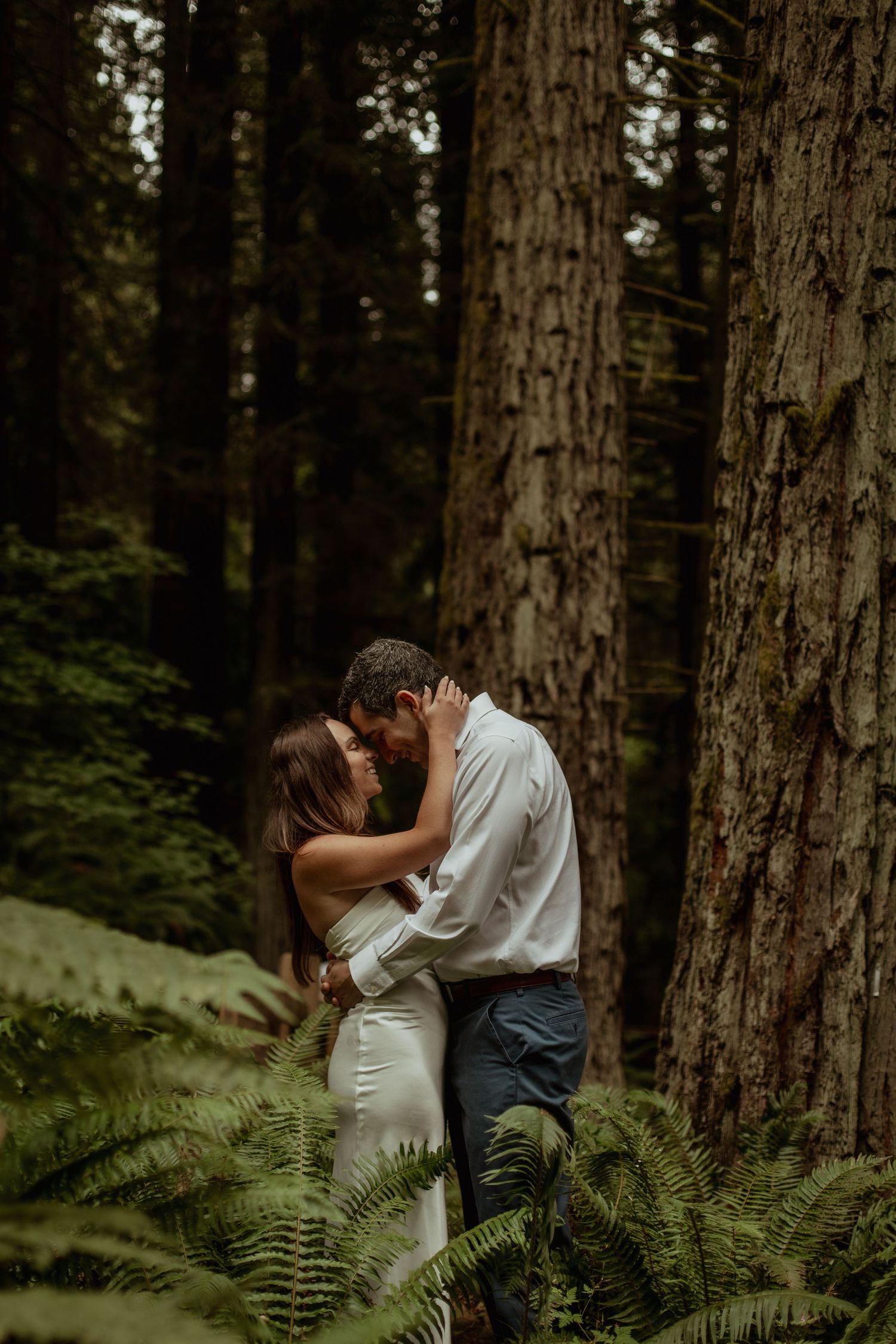 A romantic moment between a couple embracing among tall trees and ferns in a moody forest setting.