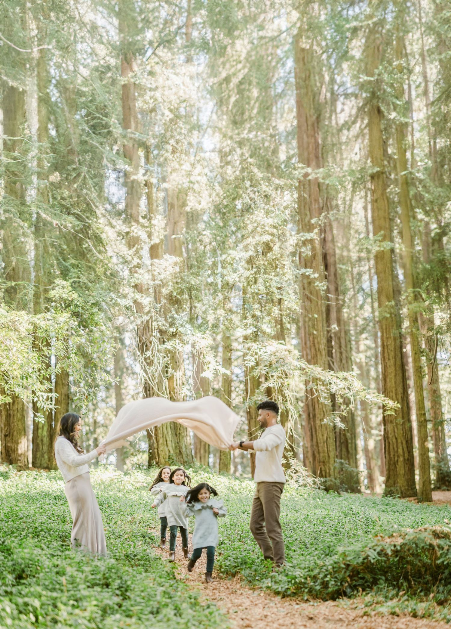 Family playing with fabric in a sunlit forest setting surrounded by tall trees.