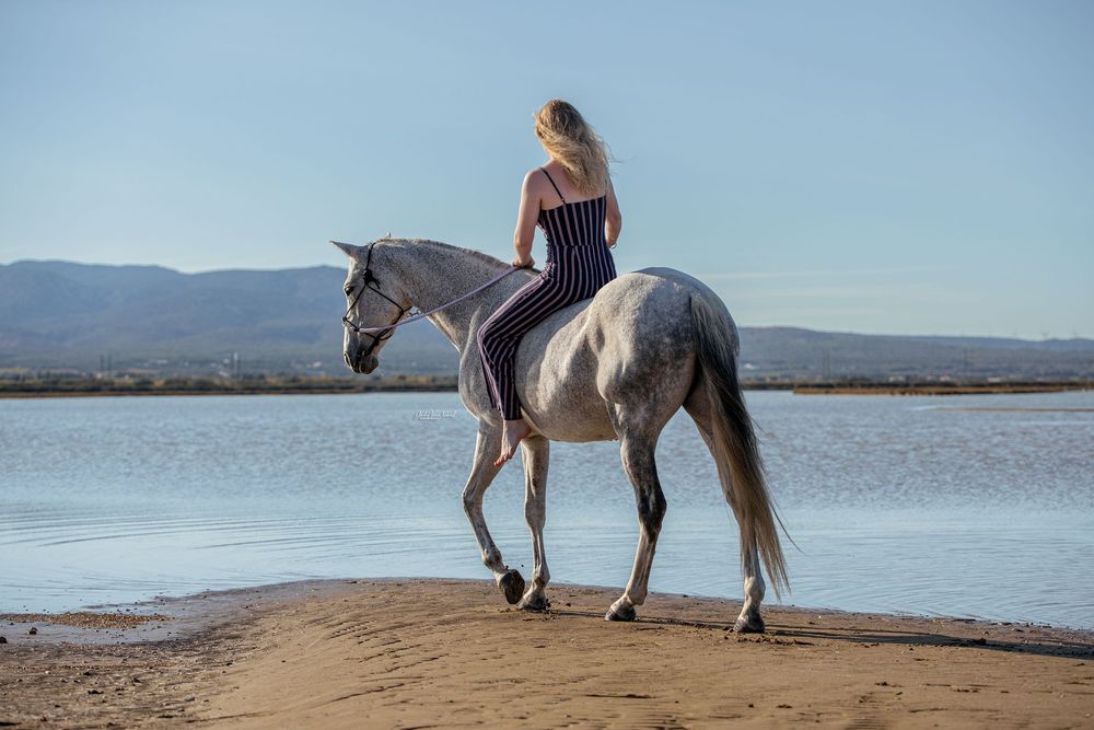Photo cheval à la plage