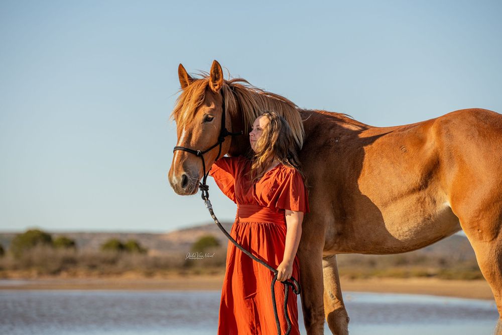 Photo cheval à la plage