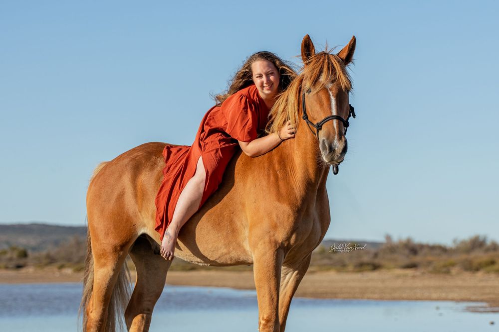 Photo cheval à la plage