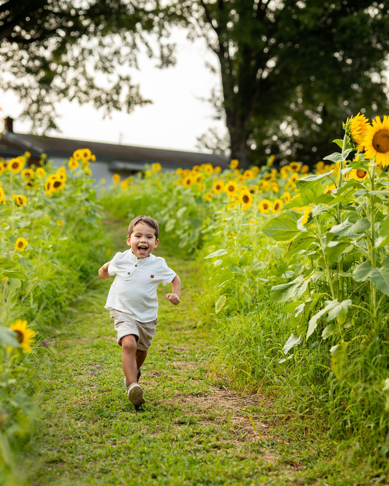 Sunflower photo session prep guide, Chesterfield Berry Farm, Richmond, VA