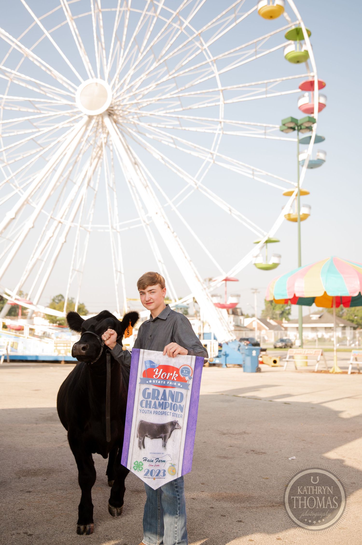 A winning livestock banner is displayed with a black show animal in front of a carnival ferris wheel.