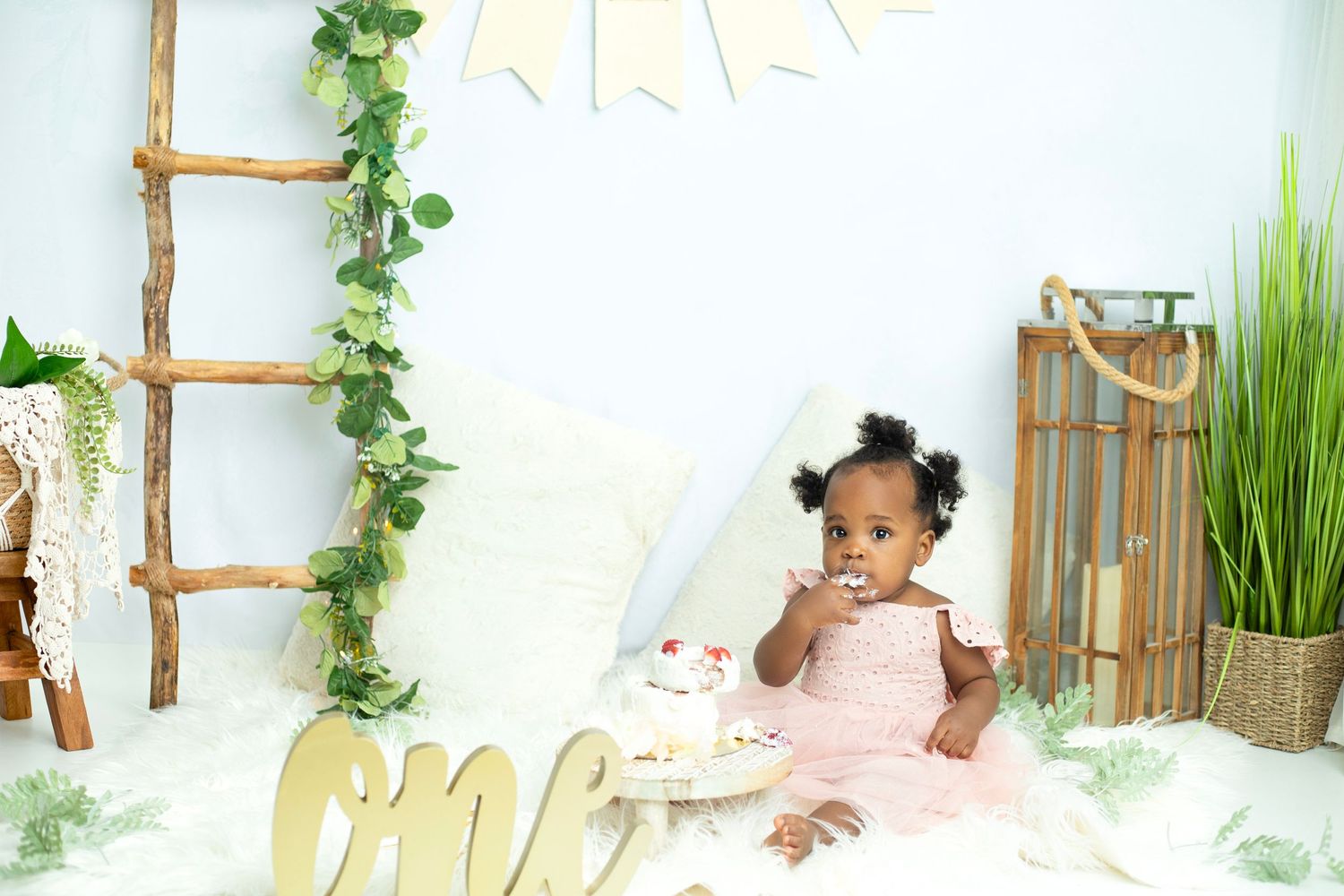 Natural boho themed photography setup with wooden ladder and green plants.