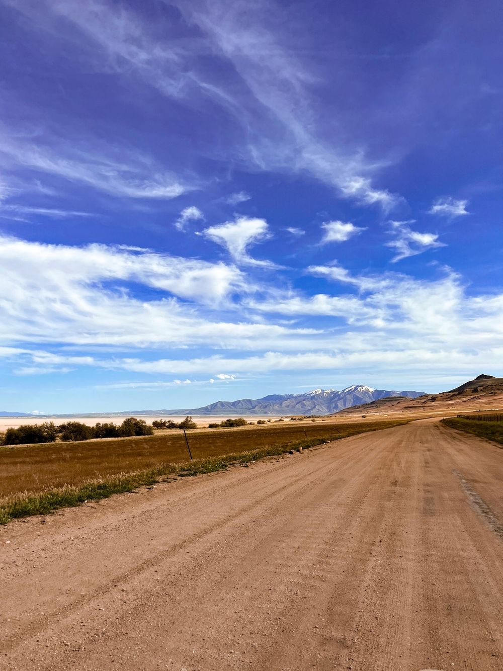 Antelope Island Landscape Photography in Salt Lake City, UT