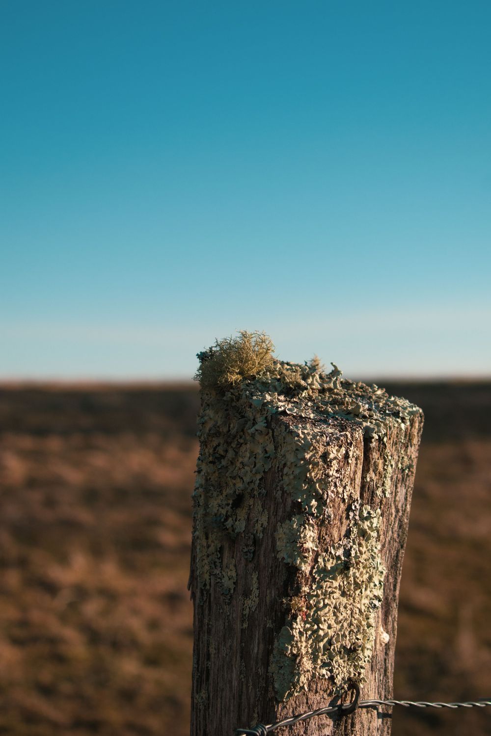Blue Ridge Parkway Landscape Photography in Boone, NC