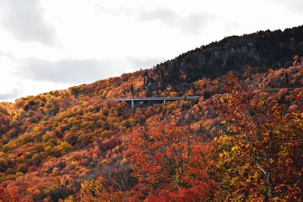 Blue Ridge Parkway Landscape Photography in Boone, NC