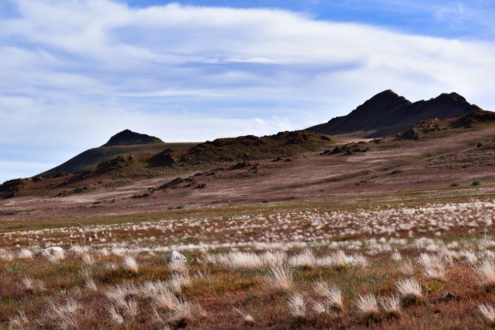 Antelope Island Landscape Photography in Salt Lake City, UT
