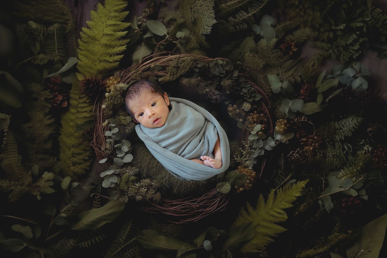 Dark moody newborn photography setup with ferns and natural elements.