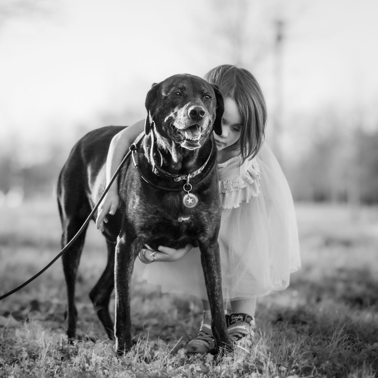 Pet mini sessions in Cypress, TX, I can’t wait to pamper your pet and create photos for you to remember forever.