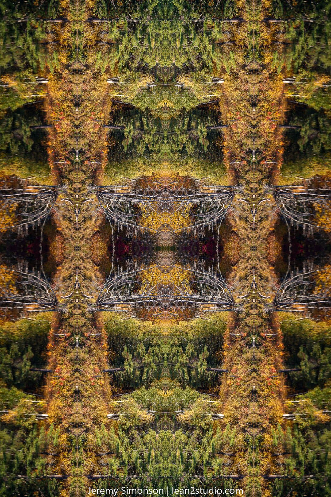 Symmetrical abstract pattern featuring autumn trees and reflections in orange and green.