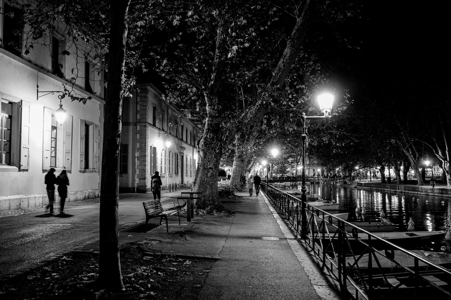 Romantic black and white night scene of a lamp-lit canal walkway with trees.