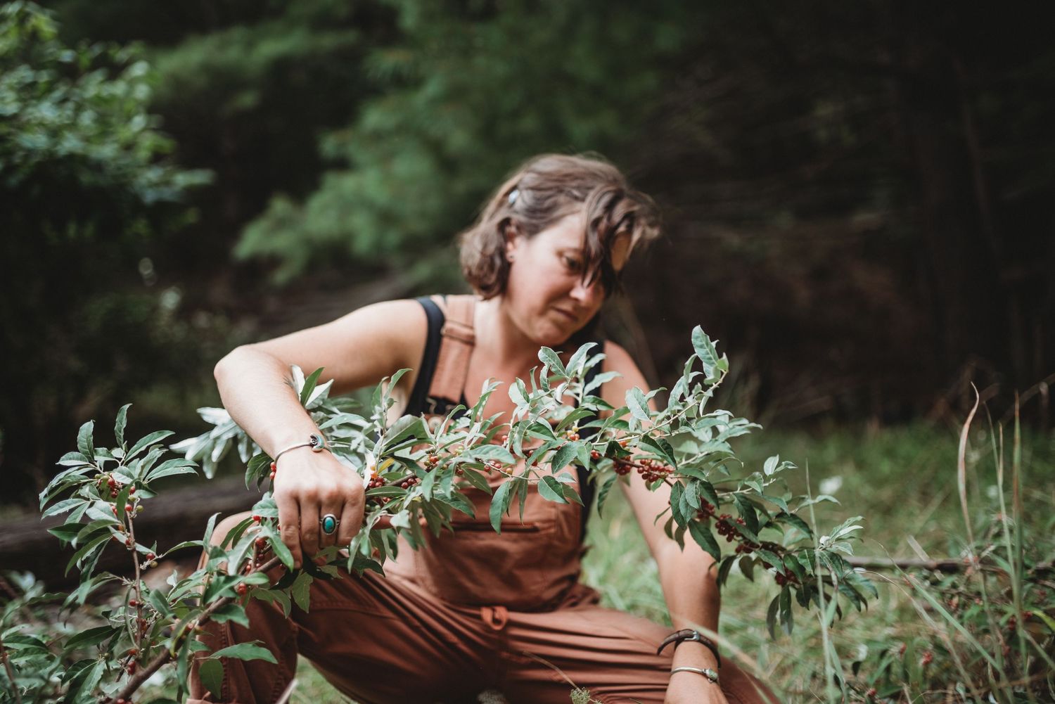 A person harvesting fresh herbs and plants in a lush garden setting.