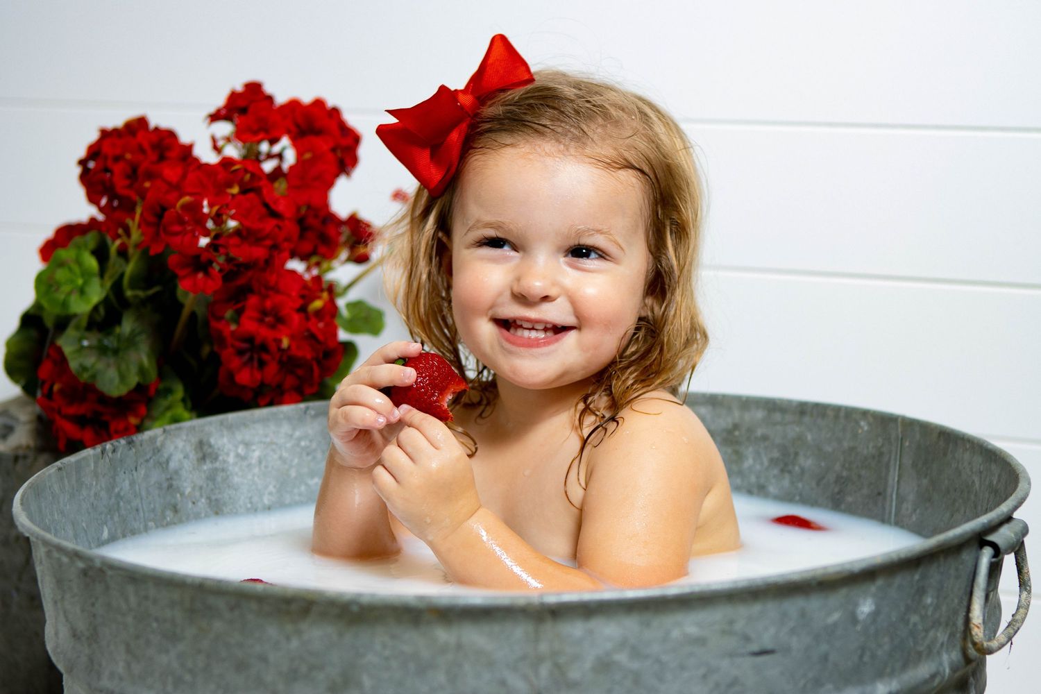 mini-sessions-past-n-portrait-photography