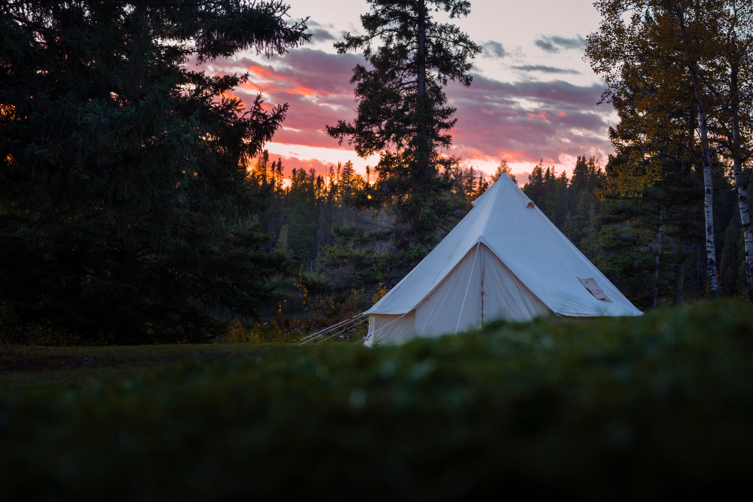 White canvas bell tent in forest clearing during dramatic purple sunset.