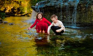 Children splash and play in shallow creek water on a sunny summer day.
