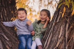 Two children laughing together while sitting in a tree trunk during autumn with golden leaves in background.