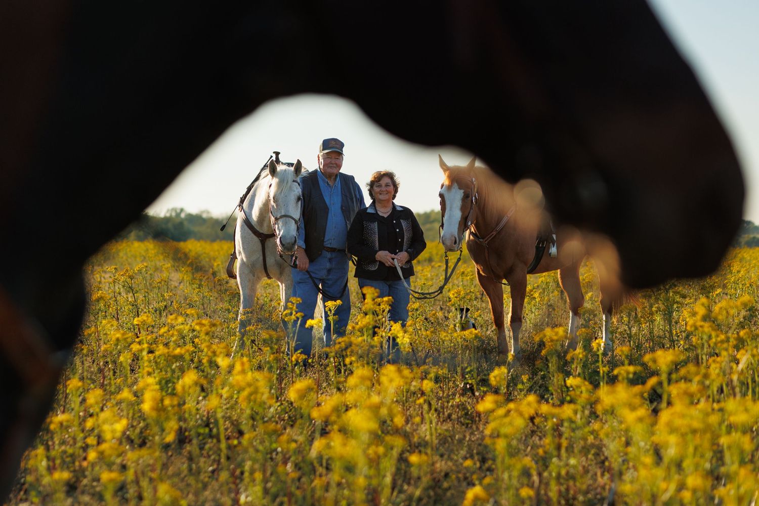 An older couple stands holding their horses reins, view is through the reins near the photographer.