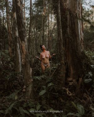 A figure stands among tall eucalyptus trees in a moody forest setting with natural lighting.