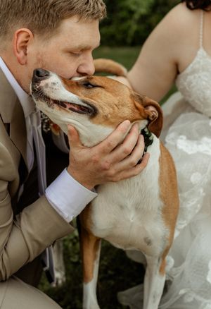 A heartwarming moment between a groom and a white and brown dog sharing a close embrace during wedding photos.