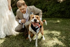 A happy dog in formal attire poses with wedding party members on a sunny lawn.