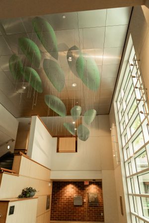 Modern interior with floating green leaf art installation and large windows.