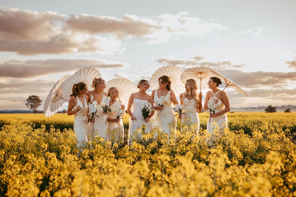 wedding in the canola