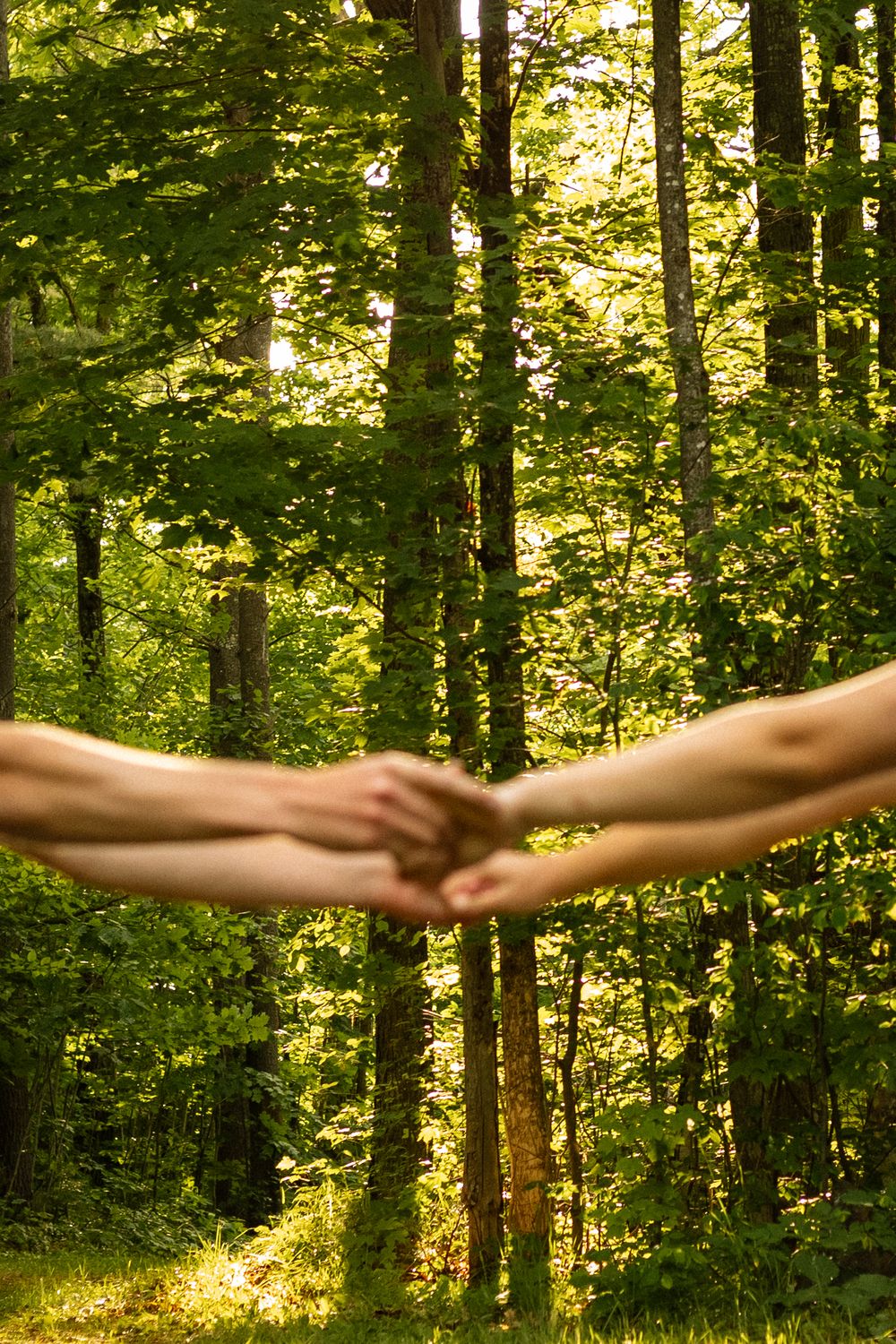 Two people holding hands in a lush green forest with tall trees and sunlight filtering through the leaves.