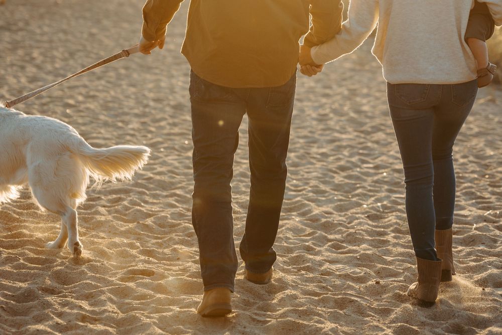 Close-up of feet walking on sandy beach with dog at sunset.