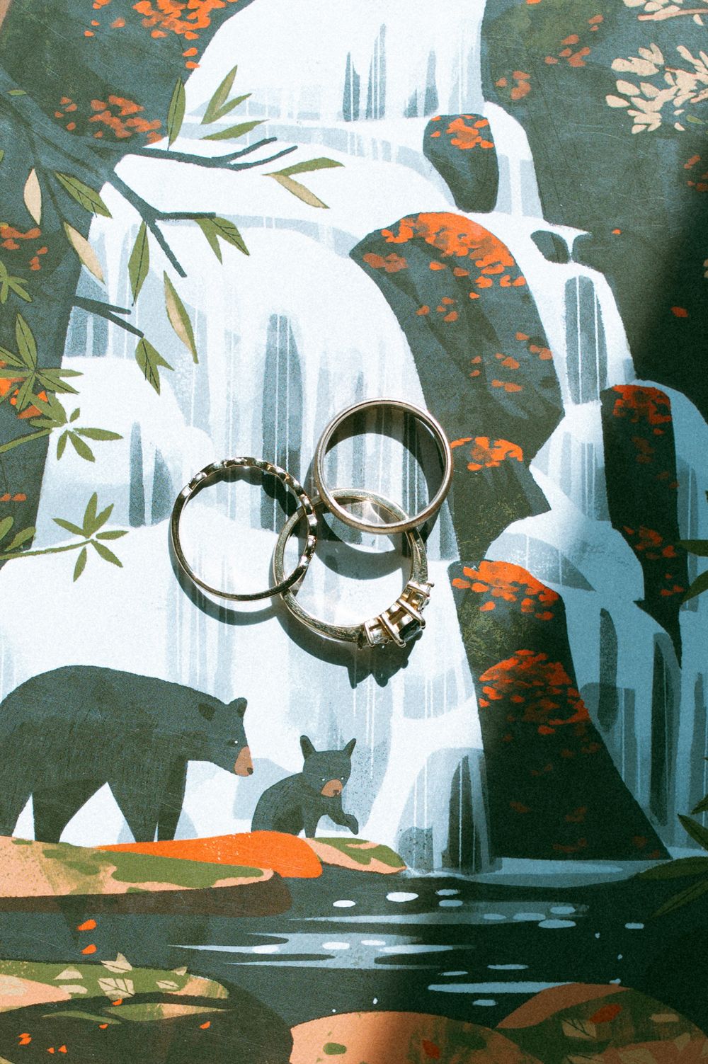 Wedding rings photographed against artistic waterfall illustration with nature elements.