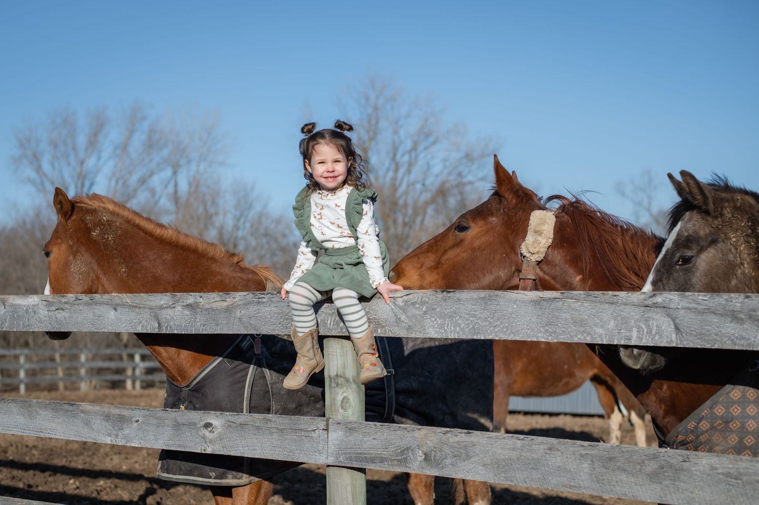 A child sits on a wooden fence while several horses peek over in a winter paddock.