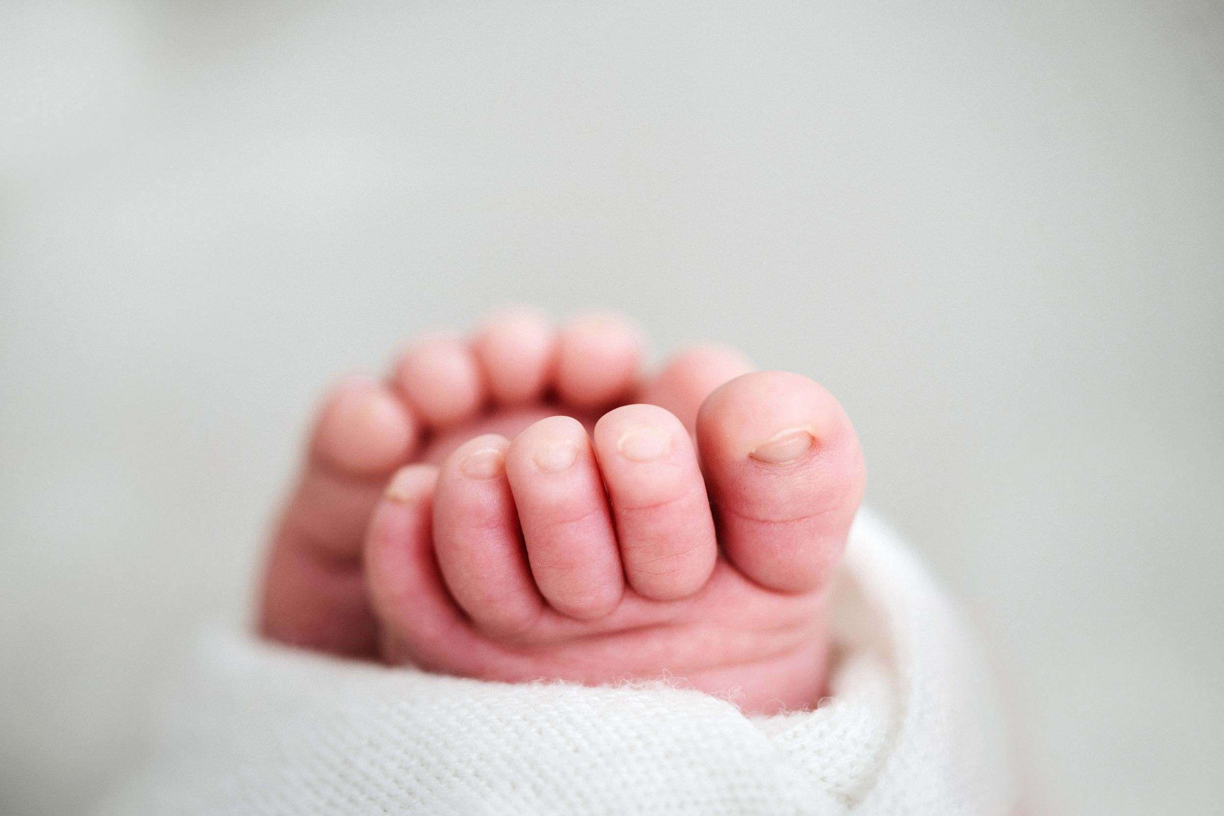 Close-up detail of newborn baby's tiny toes against white background.