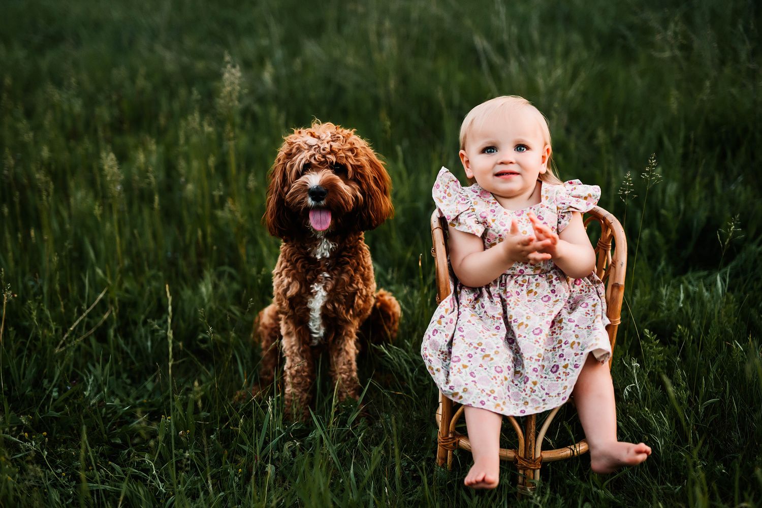 Hartland Michigan Family Photographer